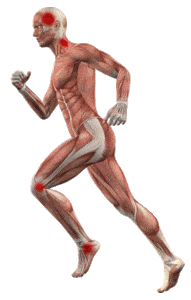 human body running2
