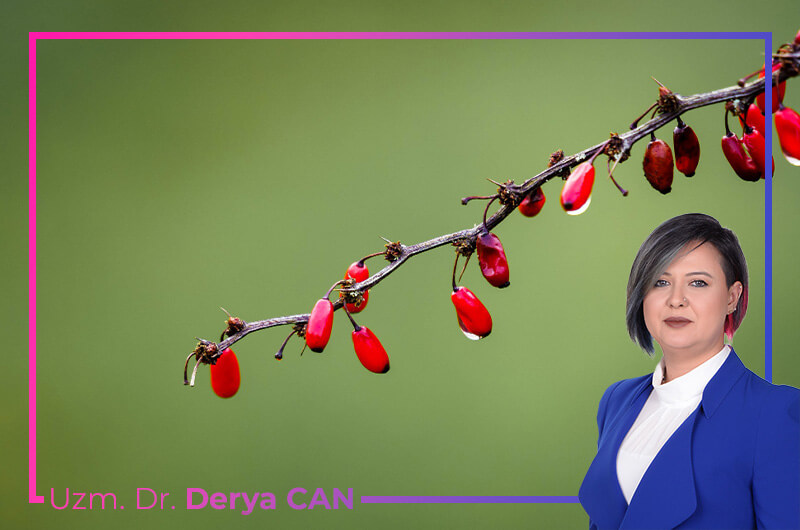 IV Berberis Vulgaris Serum Tedavisi - Dr. Derya Can